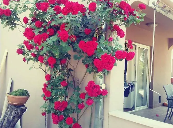 Afrodita Διαμέρισμα *