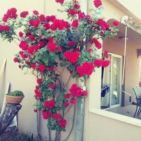 Afrodita Apartment *