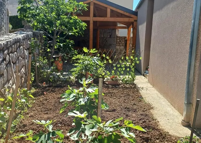 דירה Afrodita קריקווניצה