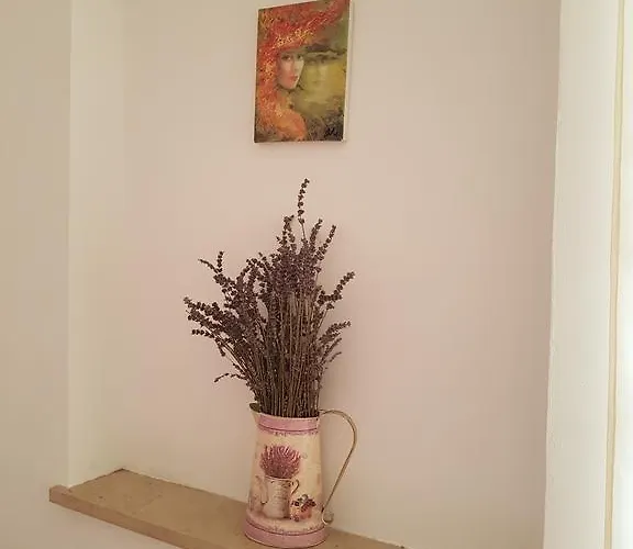 Afrodita Apartamento *